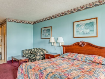 Room, 1 King Bed