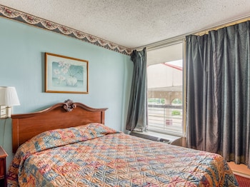 Room, 1 King Bed