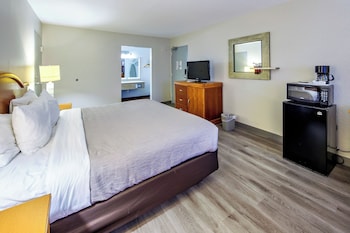 Room, 1 King Bed, Non Smoking