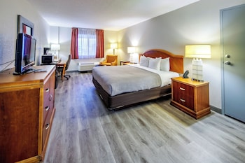 Room, 1 King Bed, Non Smoking