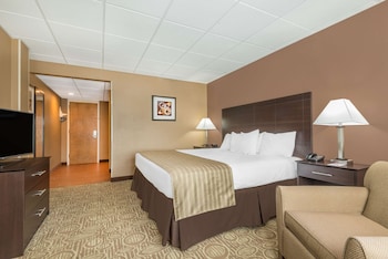 Room, 1 King Bed, Non Smoking