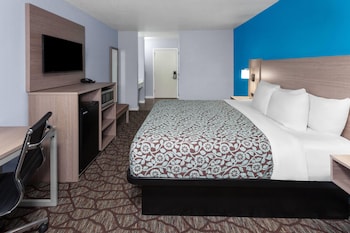 Room, 1 King Bed
