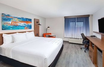 Room, 1 King Bed, Mobility Accessible, Non Smoking (Bathtub w/ Grab Bars)