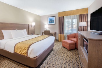 Standard Single Room, 1 Queen Bed, Accessible