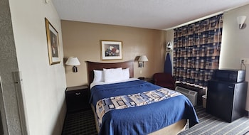 Room, 1 Queen Bed, Non Smoking