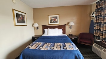 Room, 1 Queen Bed, Non Smoking
