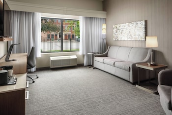 Room, 1 King Bed with Sofa bed