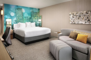 Room, 1 King Bed with Sofa bed