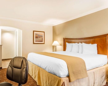 Business Room, 1 King Bed, Non Smoking