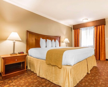 Business Room, 1 King Bed, Non Smoking