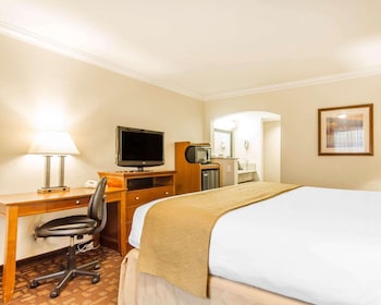 Business Room, 1 King Bed, Non Smoking