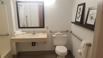 Room, 1 King Bed, Accessible, Non Smoking (Roll-in Shower)