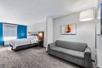 Suite, 1 King Bed