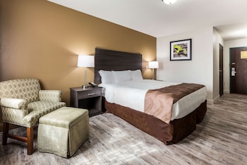 1 King Bed, Nonsmoking