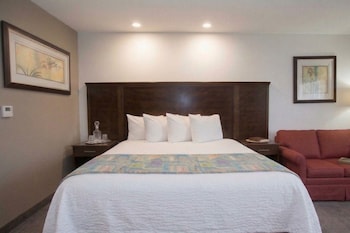 Room, 1 King Bed with Sofa bed, Non Smoking