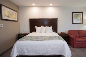 Room, 1 King Bed with Sofa bed, Non Smoking