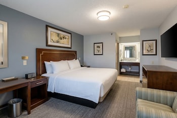 Room, 1 King Bed, Non Smoking
