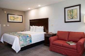 Room, 1 King Bed with Sofa bed, Non Smoking