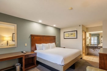 Room, 1 King Bed, Non Smoking