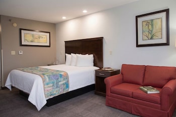 Room, 1 King Bed with Sofa bed, Non Smoking