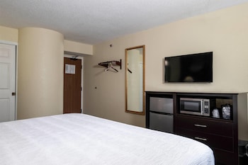 Room, 1 King Bed, Non Smoking