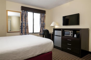 Room, 1 Queen Bed, Non Smoking
