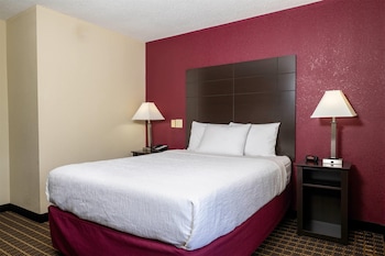 Room, 1 Queen Bed, Mobility Accessible, Non Smoking (Bathtub w/ Grab Bars)
