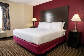 Room, 1 King Bed, Non Smoking