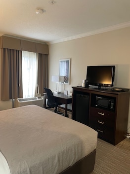 Suite, 1 King Bed with Sofa bed, Accessible, Non Smoking