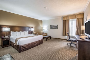Suite, 1 King Bed with Sofa bed, Accessible, Non Smoking