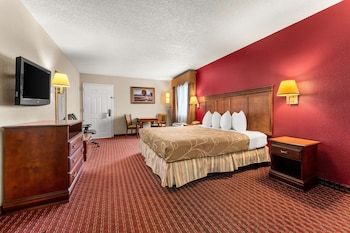 Room, 1 King Bed, Accessible, Smoking