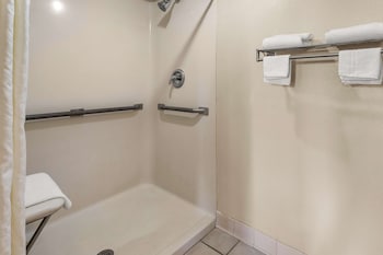 Room, 1 King Bed, Accessible, Smoking
