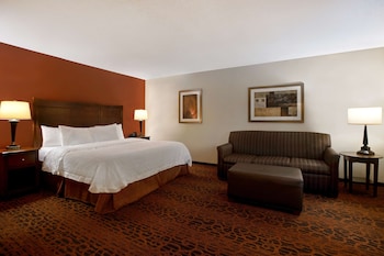 Room, 1 King Bed with Sofa bed, Non Smoking, Refrigerator & Microwave