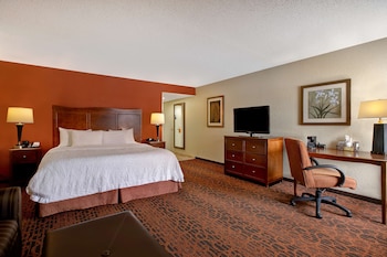 Room, 1 King Bed with Sofa bed, Non Smoking, Refrigerator & Microwave