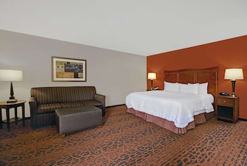 Room, 1 King Bed with Sofa bed, Non Smoking, Refrigerator & Microwave