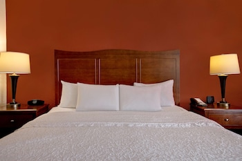 Room, 1 King Bed, Accessible, Refrigerator & Microwave (Roll-In Shower)