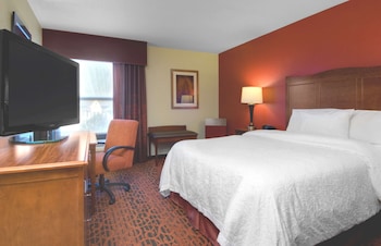 Room, 1 King Bed, Non Smoking, Refrigerator & Microwave
