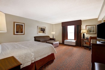 Room, 1 King Bed with Sofa bed, Non Smoking, Refrigerator & Microwave
