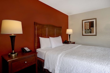Room, 1 Queen Bed, Non Smoking, Refrigerator & Microwave