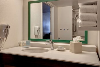 Room, 1 King Bed, Accessible, Refrigerator & Microwave (Roll-In Shower)