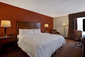Room, 1 King Bed, Accessible, Refrigerator & Microwave (Roll-In Shower)