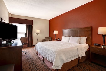 Room, 1 King Bed, Accessible, Refrigerator & Microwave (Roll-In Shower)