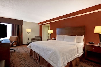Room, 1 King Bed, Refrigerator & Microwave (Jetted Tub)