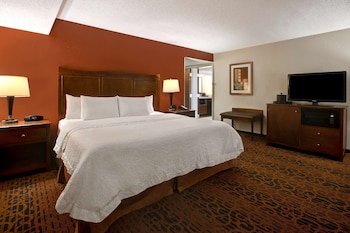 Room, 1 King Bed, Accessible, Refrigerator & Microwave (Roll-In Shower)