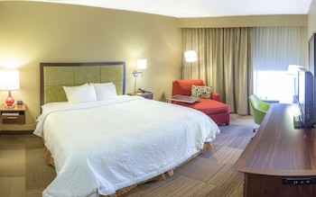 Room, 1 King Bed, Accessible, Bathtub
