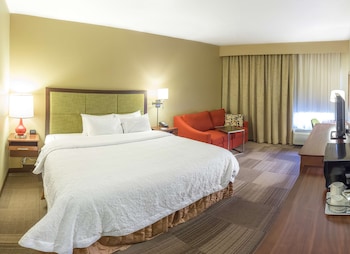 Room, 1 King Bed with Sofa bed, Non Smoking (Study)