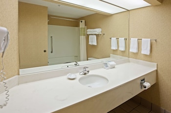 Room, 1 King Bed, Accessible, Bathtub