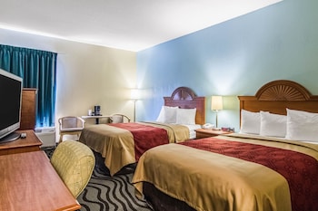 Standard Room, 2 Double Beds, Non Smoking (Pet Friendly)