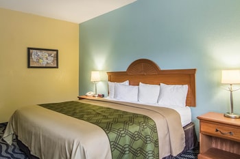 Room, 1 King Bed, Accessible, Non Smoking