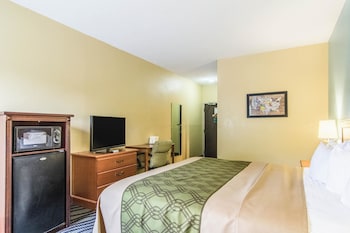 Room, 1 King Bed, Accessible, Non Smoking
